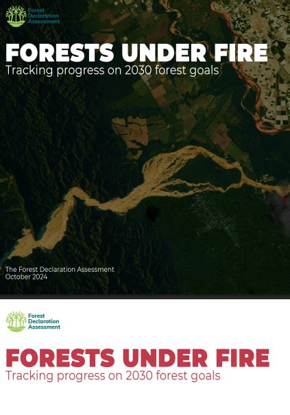Forests under fire: Tracking progress on 2030 forest goals - raincitystudios.com