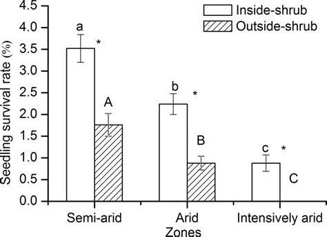 Forethought Techniques to Boost Seedling Survival Rates - raincitystudios.com