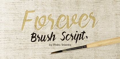 Forever Brush Script Font - muktibox.com