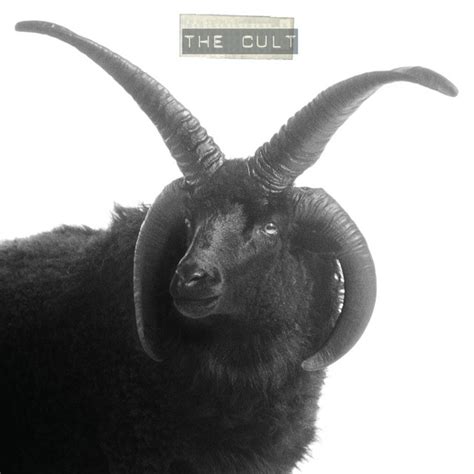 FOREVER CULT/URE - Album by The Cult Spotify