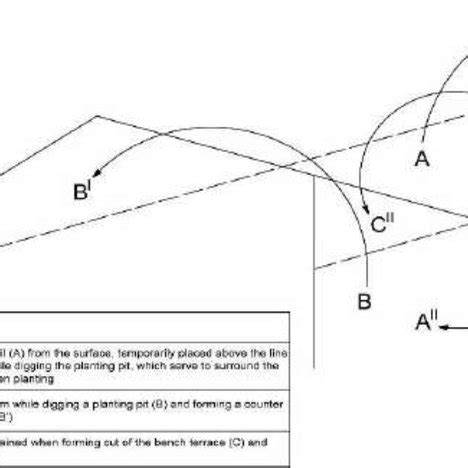 Formation of bench terrace and planting technique … - raincitystudios.com