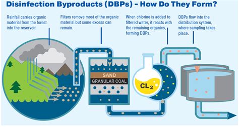 Formation of disinfection by-products (DBPs) in water and wastewater ... - raincitystudios.com