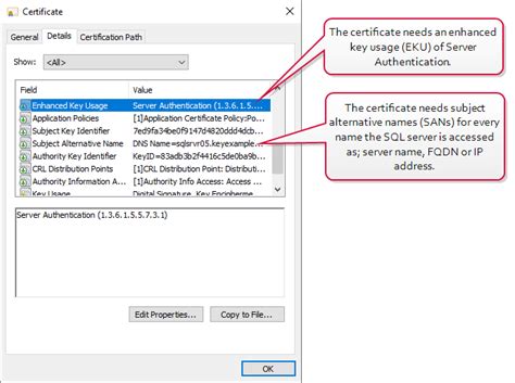 Fortify Your Code: The Power of a Professional Certificate in SQL ... - coolestguyplanet.net