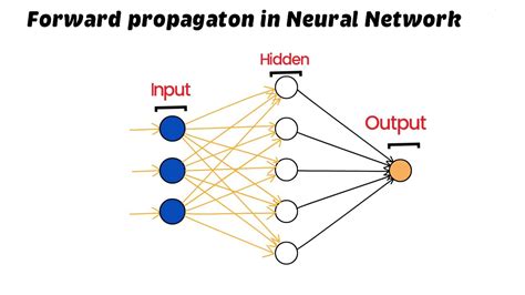 Forward Propagation And Backpropagation Neural Network Diagram - coolestguyplanet.net