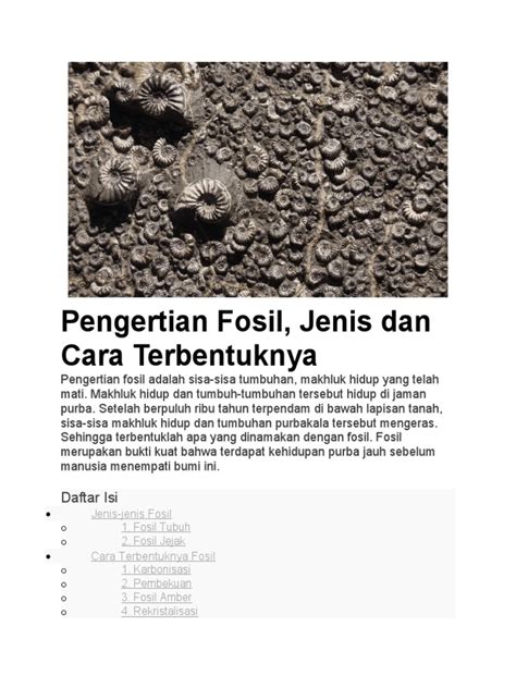 Fosil dan Pembentukannya - Apa itu fosil? Fosil adalah sisa, jejak ... - wintechmobiles.com