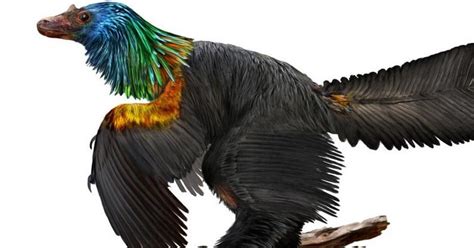 Fosil Dinosaurus Berjambul Warna-warni di Sahara Bikin ... - detikcom - balustradellc