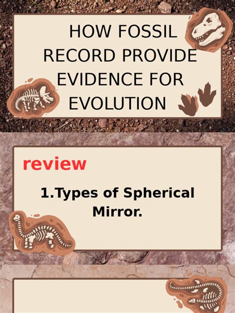 Fossil Evolution - wintechmobiles.com