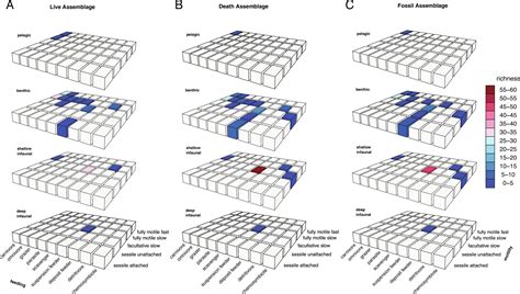 Fossil samples archive functional diversity in marine … - raincitystudios.com