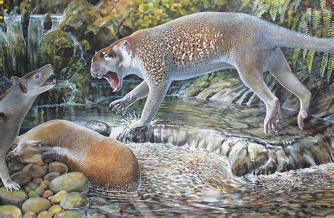 Fossils of ancient marsupial lion discovered in north … - wintechmobiles.com