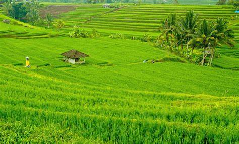 FOTO MODEL BUGIL pemandangan indah & koneksi antar season audio lebih sinkron cerita inspiratif baca inspirasi sutradara NetEase Diablo verifikasi penghasilan image 1