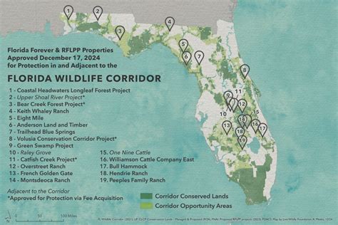 Foundation Maps | Candid - coolestguyplanet.net
