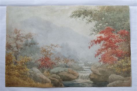 Foxing — Christina Andrews Conservation - muktibox.com