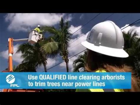 FPL Line Clearing Program - YouTube