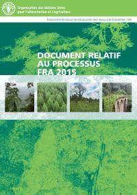 FRA 2015 PROCESS DOCUMENT - raincitystudios.com