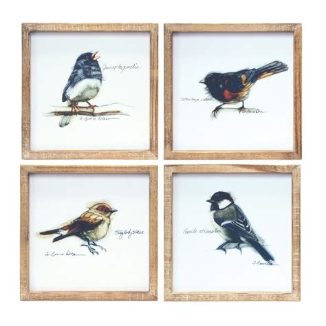Framed Bird Prints - Ellie White - muktibox.com