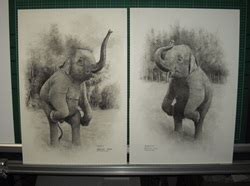 Framing charcoal drawings- Up In Frames- Adelaide - muktibox.com