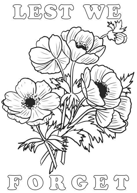 FREE! - Poppy for Remembrance Colouring Sheet Colouring …