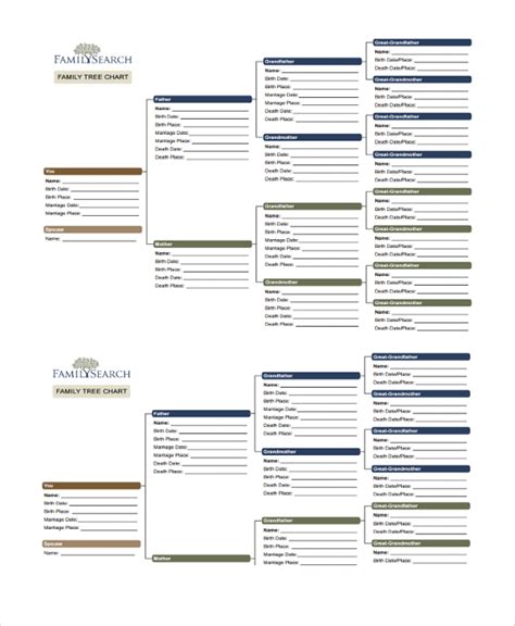 FREE 17+ Sample Family Tree Chart Templates in PDF MS Word Excel