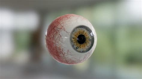 Free 3D Eyeball Models - Available For Download On … - muktibox.com