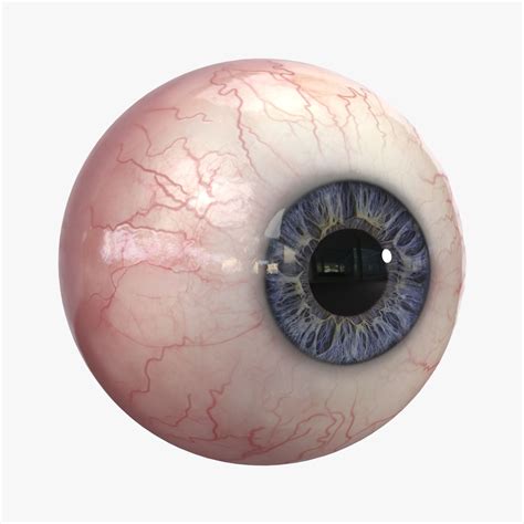 Free 3D Realistic Eye Models - TurboSquid - muktibox.com