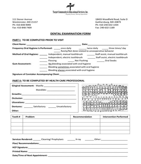 FREE 5+ Dental Examination Forms in PDF MS Word