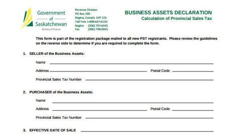 FREE 8+ Sample Business Declaration Forms in PDF MS Word Excel