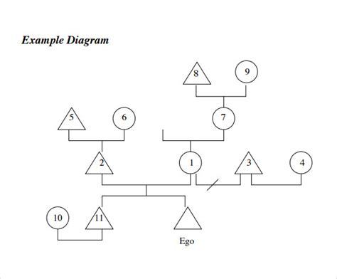 FREE 9+ Sample Kinship Diagram Templates in PDF MS Word