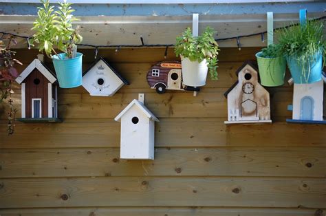 Free Bird House Plans: DIY Guides For Attracting Nesters - balustradellc