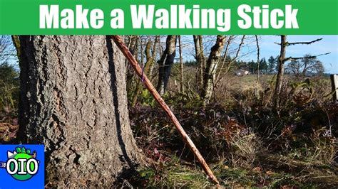 Free Branch to Awesome Walking/Hiking Stick! (Simple DIY Guide) - balustradellc