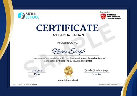 Free Cyber Security Course with Certificate Online - balustradellc