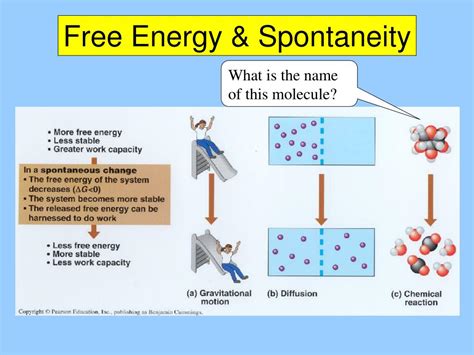 Free Energy and Spontaneity - wintechmobiles.com