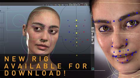 Free Face Rig 3D Models For Download - TurboSquid - muktibox.com