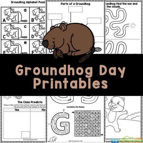 FREE GROUNDHOG DAY ACTIVITIES! Students predict if they think the