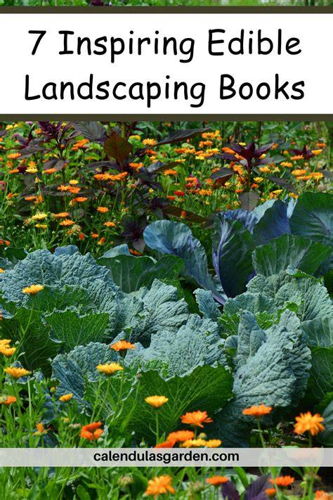 Free landscaping Ideas Using Edible Plants to Enhance … - raincitystudios.com