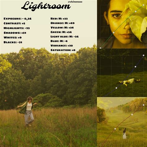 Free Lightroom Preset - balustradellc