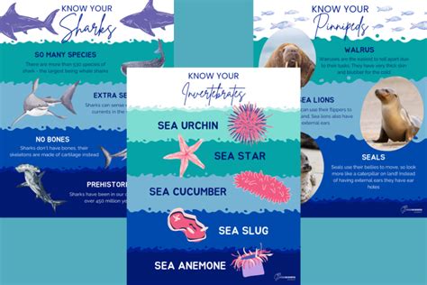 Free Ocean Themed Resources for Kids - raincitystudios.com