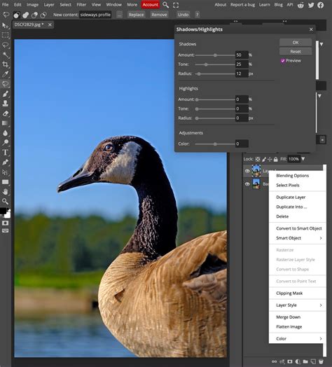 Free Photoshop Alternatives: Top 12 Image Editors - balustradellc