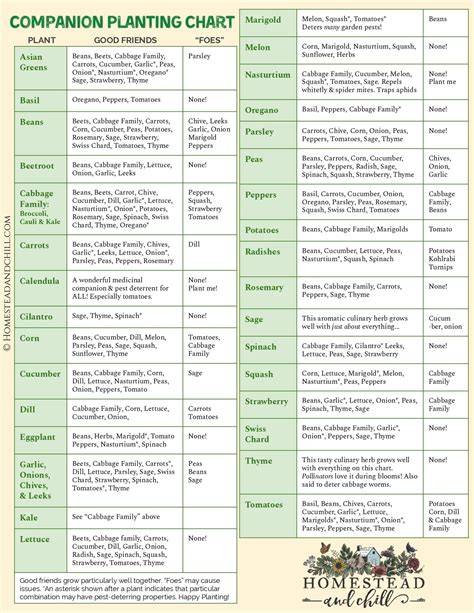 Free Printable Companion Planting Chart - raincitystudios.com