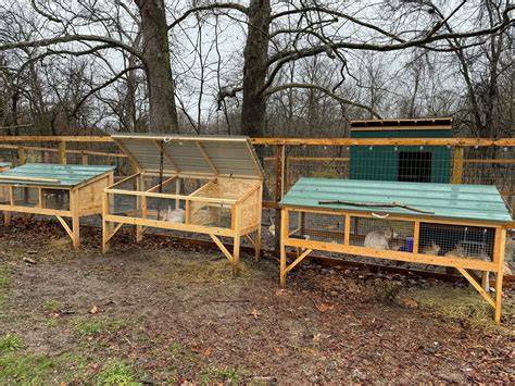 Free Rabbit Cage plans | MyOutdoorPlans - raincitystudios.com
