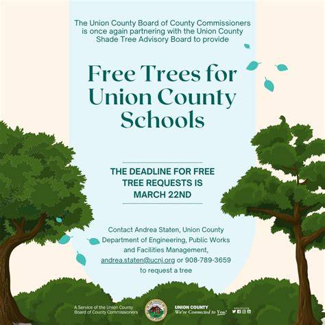 Free trees for schools and communities - Woodland Trust - raincitystudios.com