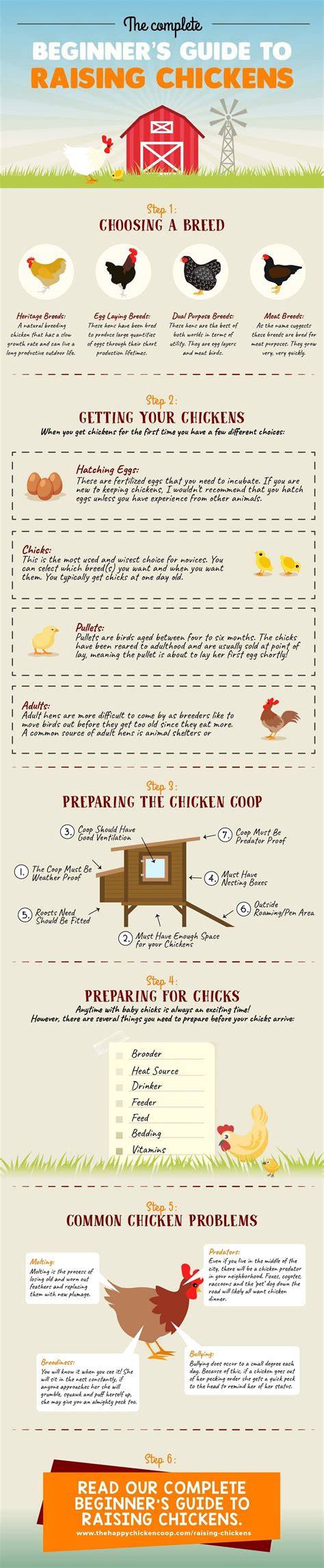 Free-Range Chicken Keeping 101: A Beginners Guide - raincitystudios.com