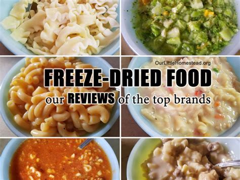 Freeze Dried Food Reviews of Top Brands - The Best Emergency Foods 2020 - balustradellc