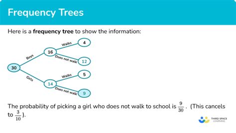 Frequency Trees - Transum - wintechmobiles.com
