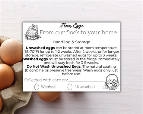 Fresh Farm Eggs: Quality and Care - balustradellc