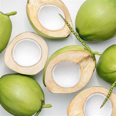 Fresh Young Green Coconuts - Wholesale & OEM Available - raincitystudios.com