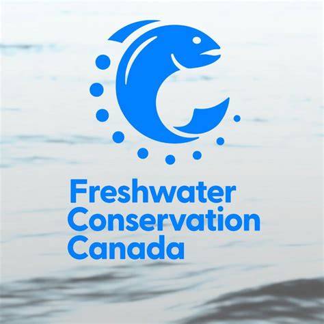 Freshwater Conservation - an overview | ScienceDirect Topics - raincitystudios.com
