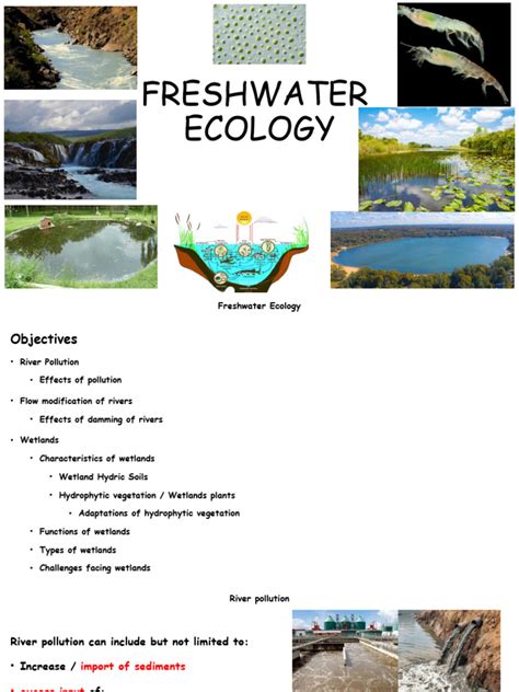 Freshwater ecology - Latest research and news | Nature - muktibox.com