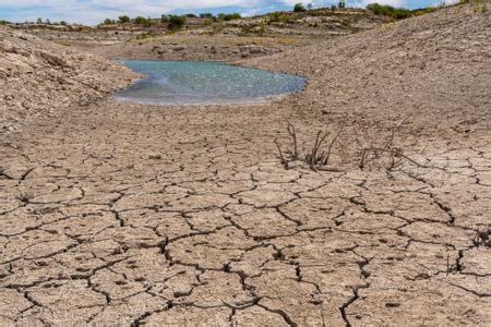 Freshwater Ecosystems Disappearing at Alarming Rate - muktibox.com