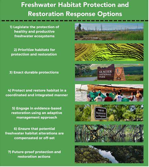 Freshwater habitat restoration - raincitystudios.com
