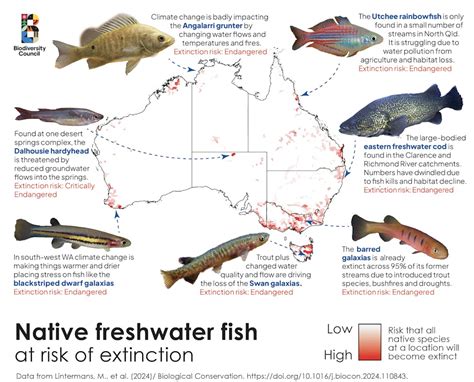 Freshwater species - IUCN - muktibox.com
